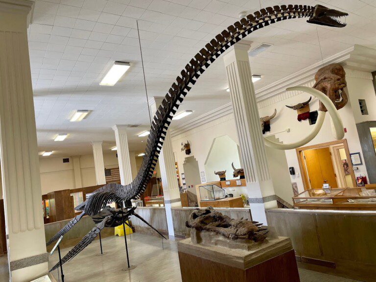 Museum of Geology South Dakota School of Mines and Technology